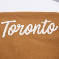 Men's Pro Standard Brown Toronto Blue Jays Paint the City Pullover Sweatshirt
