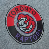 Men's Mitchell & Ness Heather Gray Toronto Raptors City Collection T-Shirt