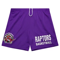 Men's Mitchell & Ness Purple Toronto Raptors Hardwood Classics Gameday Mesh Shorts
