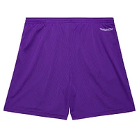 Men's Mitchell & Ness Purple Toronto Raptors Hardwood Classics Gameday Mesh Shorts