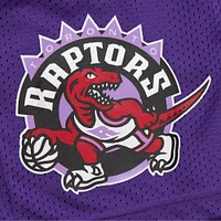 Men's Mitchell & Ness Purple Toronto Raptors Hardwood Classics Gameday Mesh Shorts