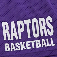 Men's Mitchell & Ness Purple Toronto Raptors Hardwood Classics Gameday Mesh Shorts
