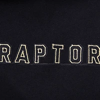 Men's Pro Standard Black Toronto Raptors Pullover Hoodie