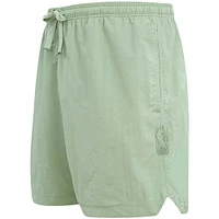 Men's Pro Standard  Green Toronto Raptors Neutral Woven Shorts