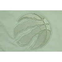 Men's Pro Standard  Green Toronto Raptors Neutral Woven Shorts