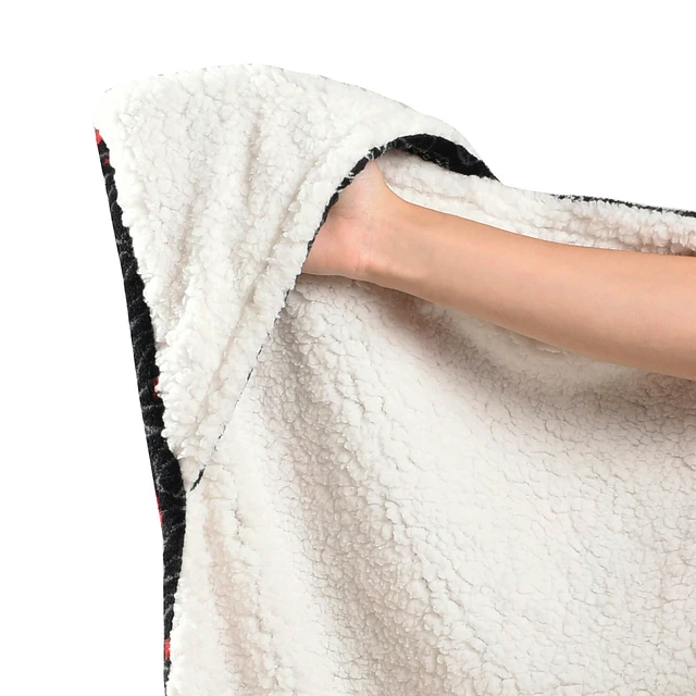 Nemcor Toronto Raptors 50'' x 60'' Regular Throw Blanket at