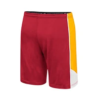 Men's Colosseum Cardinal USC Trojans Haller Shorts