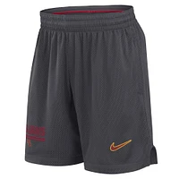 Men's Nike Anthracite USC Trojans 2024 Sideline Performance Mesh Shorts