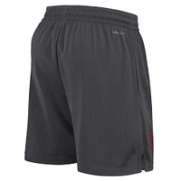 Men's Nike Anthracite USC Trojans 2024 Sideline Performance Mesh Shorts