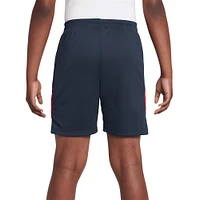 Youth Nike  Navy USMNT 2024 Strike Performance Shorts