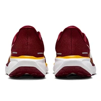 Unisex Nike Burgundy Washington Commanders Zoom Pegasus 41 Running Shoes