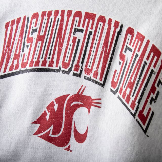 Chandail à enfiler armure inversée Champion Washington State Cougars gris pour homme