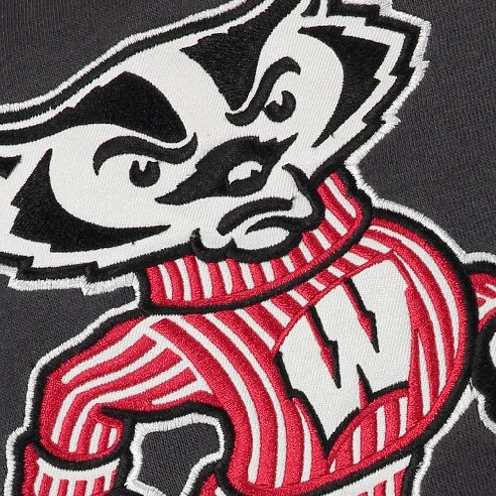 Sweat à capuche avec grand logo des blaireaux du Wisconsin, stade athlétique pour jeunes