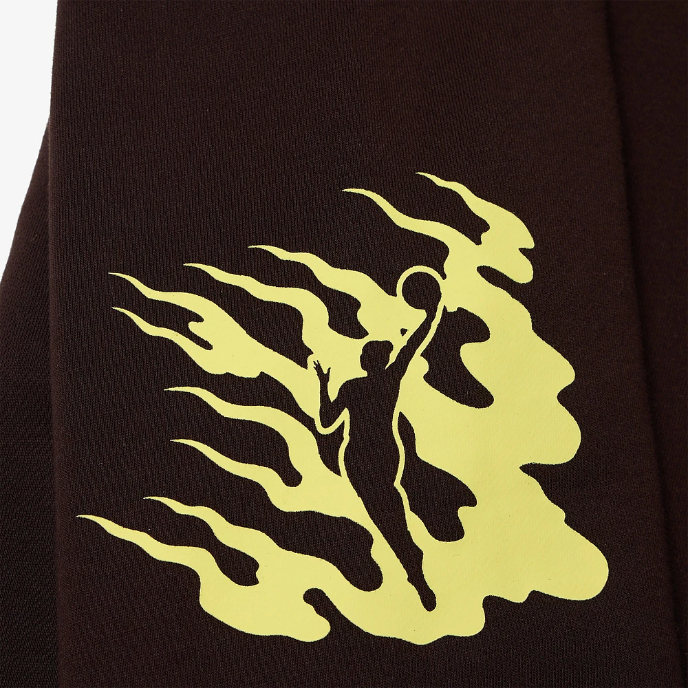 Unisex WNBA x Authmade Brown Asian Pacific Islander Dreamer Pullover Hoodie