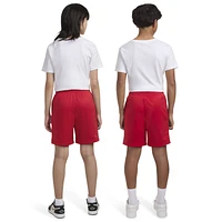 Jordan Boys Jordan Mesh PE Shorts - Boys' Grade School Gym Red/Gym Red Size L