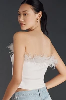 Endless Rose Strapless Top