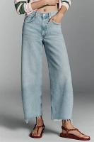 AGOLDE Low Curve Crop Tapered Jeans