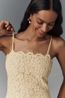 Endless Rose Scallop Lace Slim Midi Dress