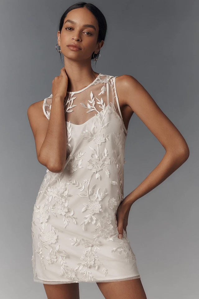 Flat White Sheer Embroidered Mini Dress at MarketFair Shoppes in Princeton,  NJ