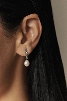 NADRI Siren Freshwater Pearl Drop Earrings