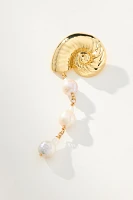 Mignonne Gavigan Concha Shell Drop Earrings