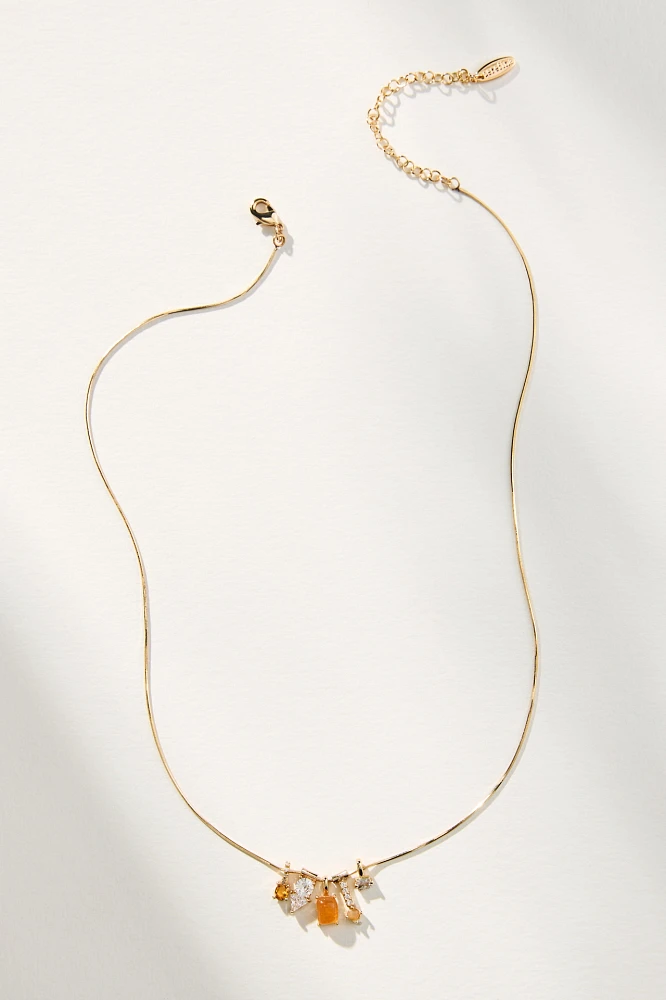Delicate Charm Necklace