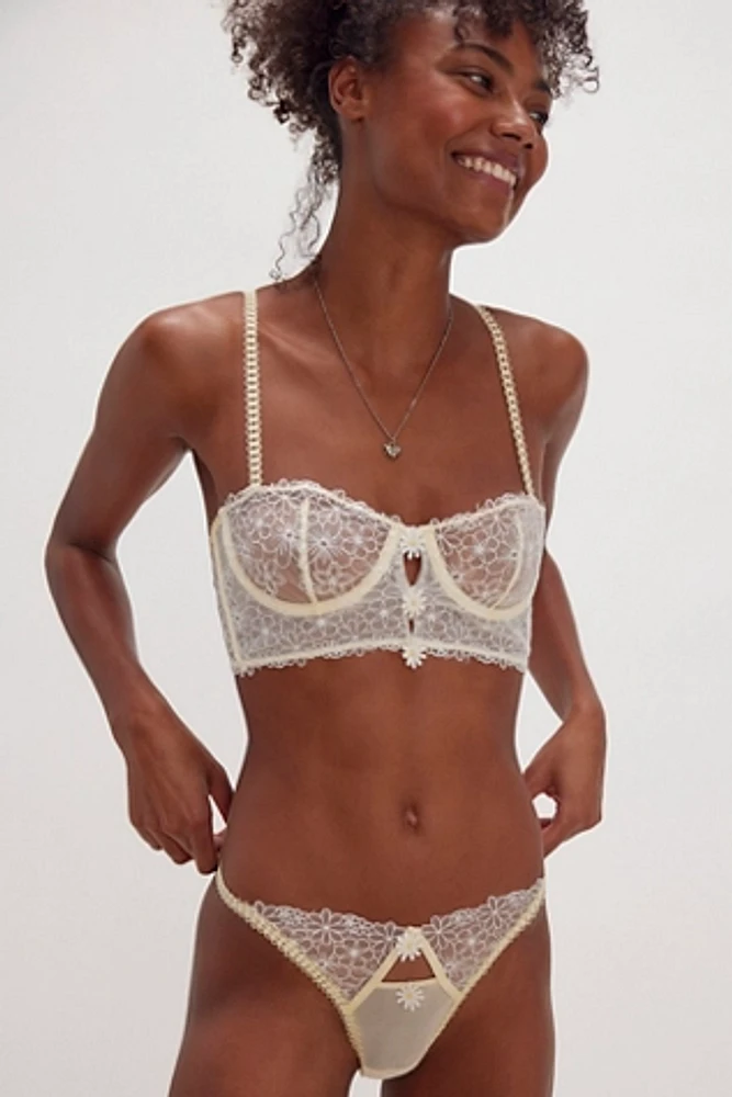 Haydee Brief