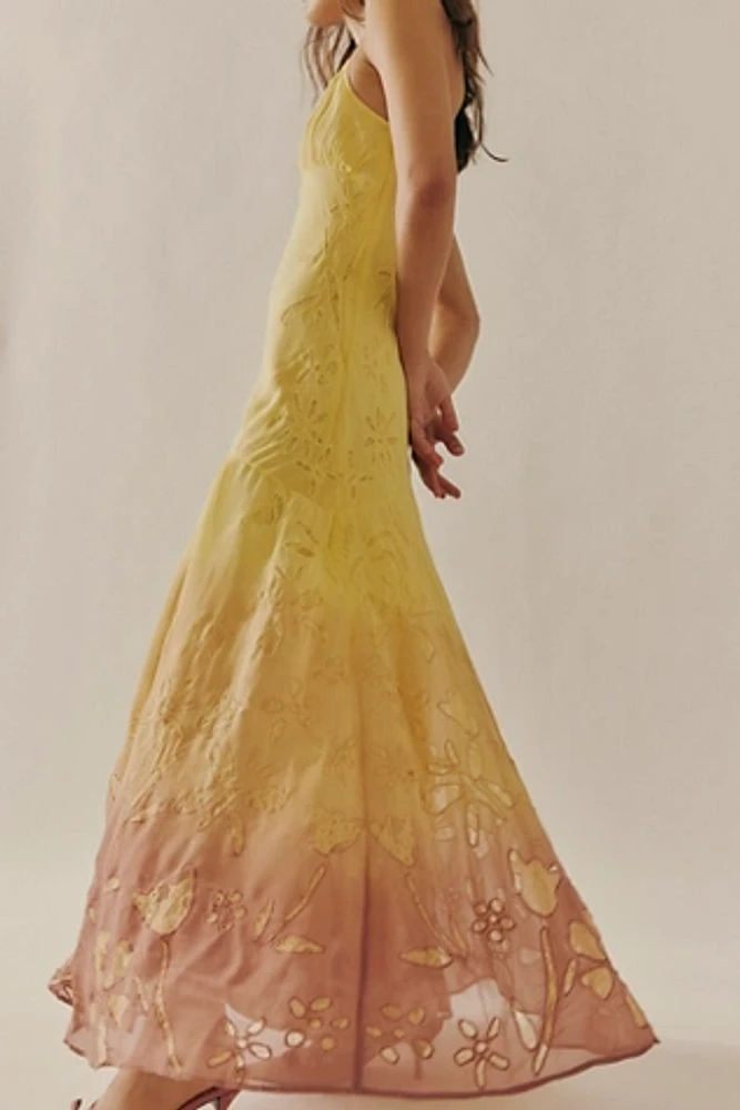 Spring Showers Maxi Dress