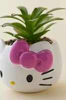 Sanrio Hello Kitty Head Shaped Succulent Planter