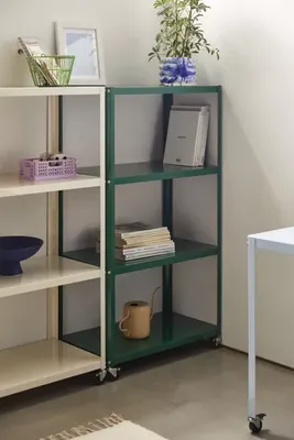 Ryan 4-Tier Storage Shelf