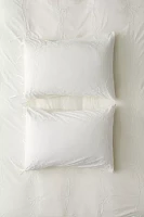 Lacey Bows Embroidered Sham Set