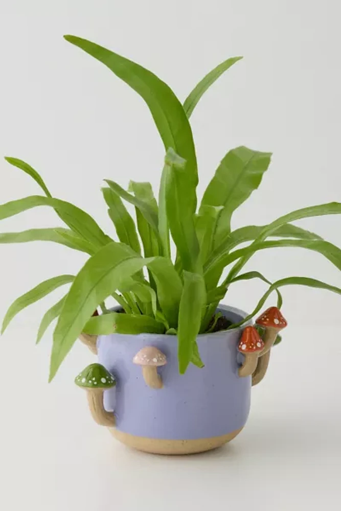 Sprouting Mushroom Planter