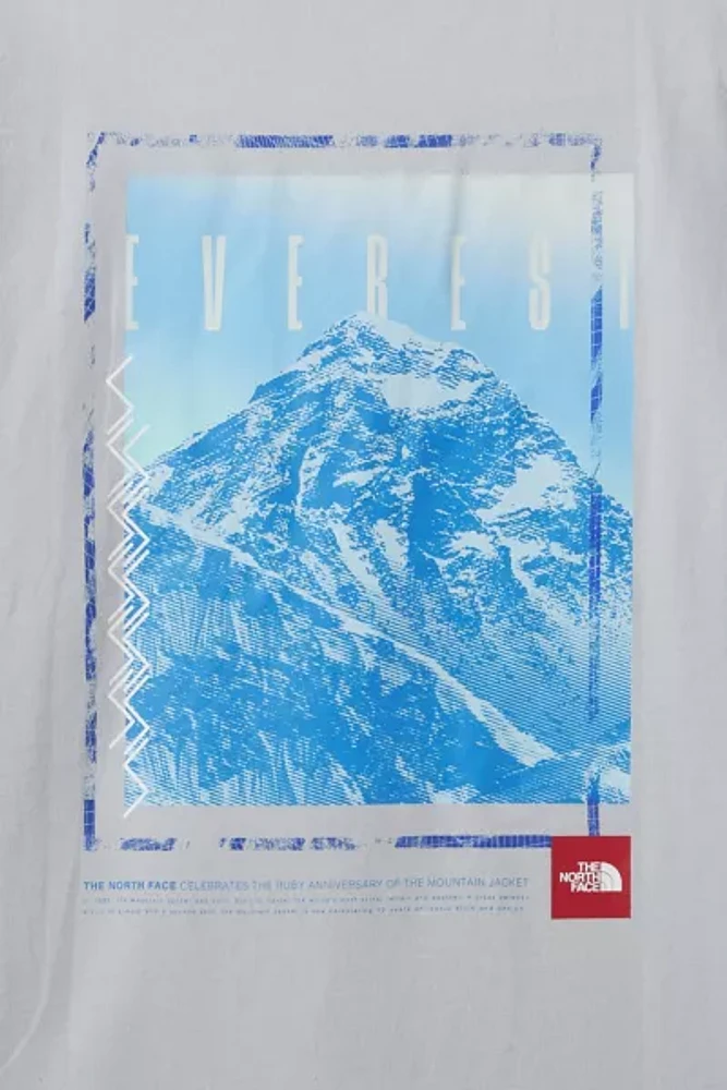 The North Face Box Logo Everest Graphic Tee