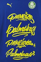 Puma Palmeiras Graphic Tee