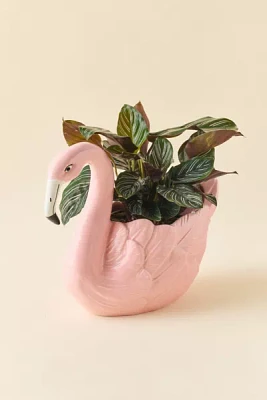Flamingo Shaped Ceramic Planter