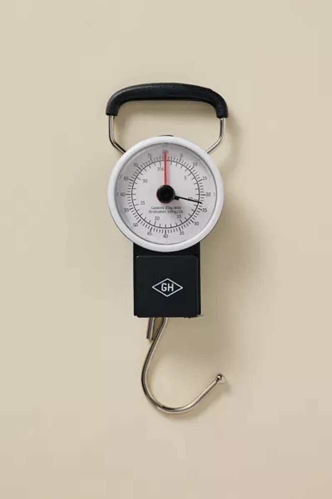 Handheld Luggage Travel Scale