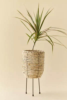Woven Rattan Basket Planter