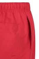 Aruba Mens Swim Shorts