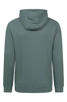 Mountain Grid Mens Hoodie