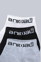 Ronnie Womens Socks 3-Pack