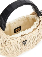 Sveiney Straw Mini Shoulder Bag