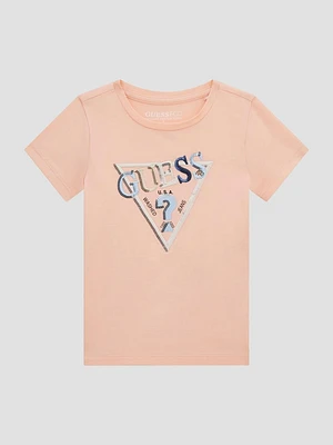 Eco Signature Triangle Tee (3M-7)