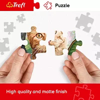Trefl Puzzles - 2000 Piece Political Map Of The World 2000 Puzzle