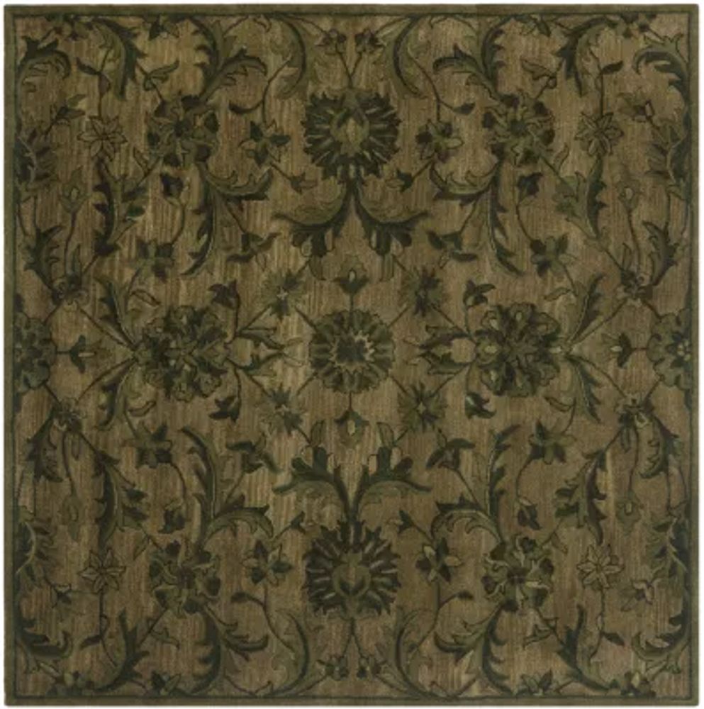 Safavieh Tokora Traditional Area Rug