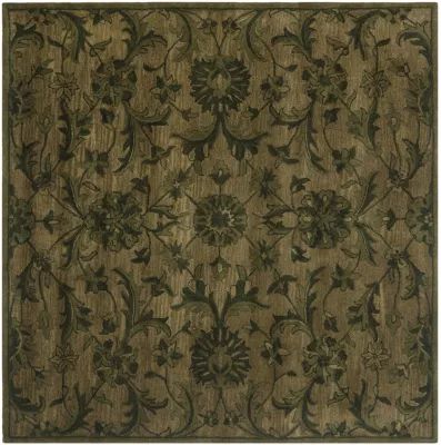 Safavieh Tokora Traditional Area Rug