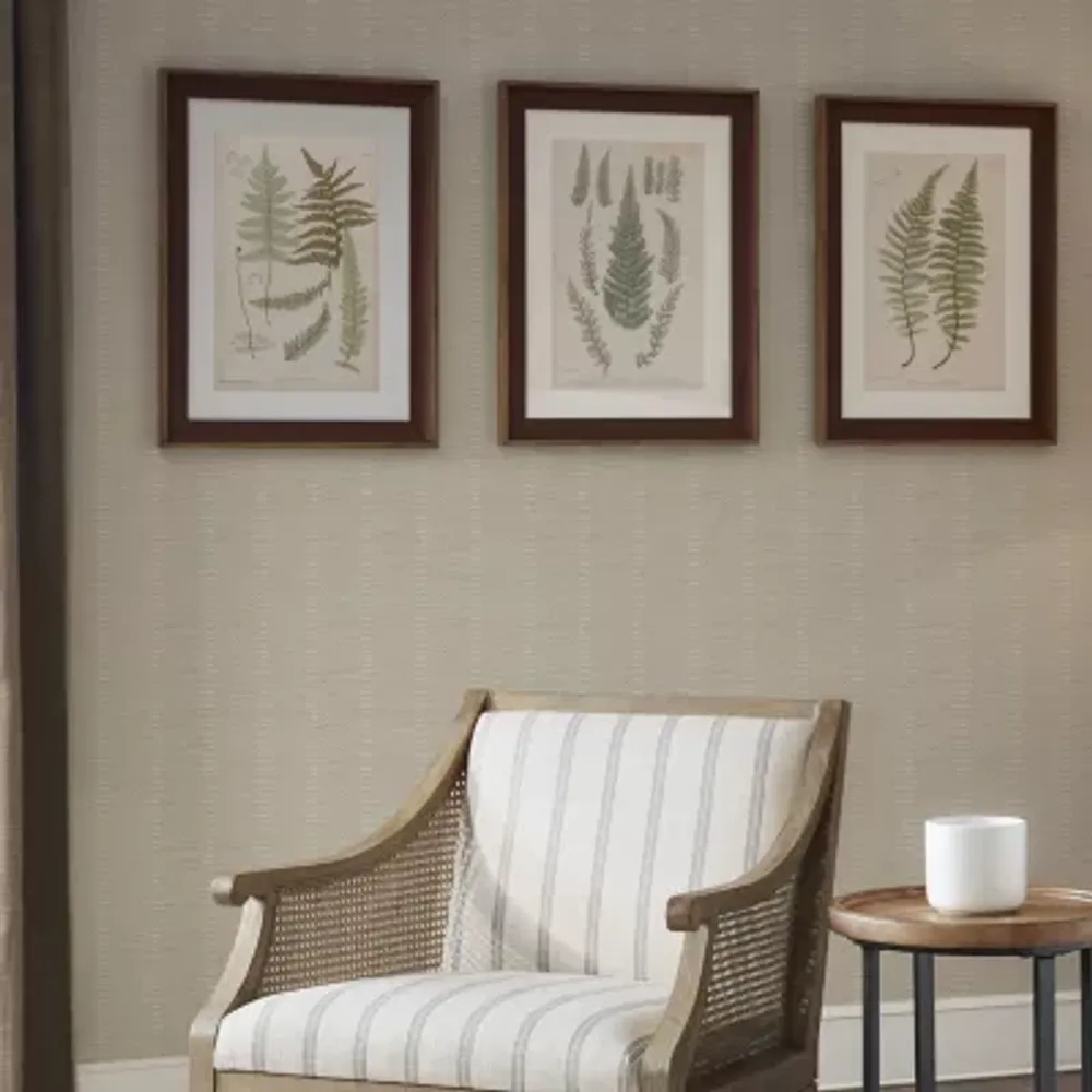 Madison Park Lady Fern Collection Botanical Illustration 3-pc. Framed Wall Art Sets