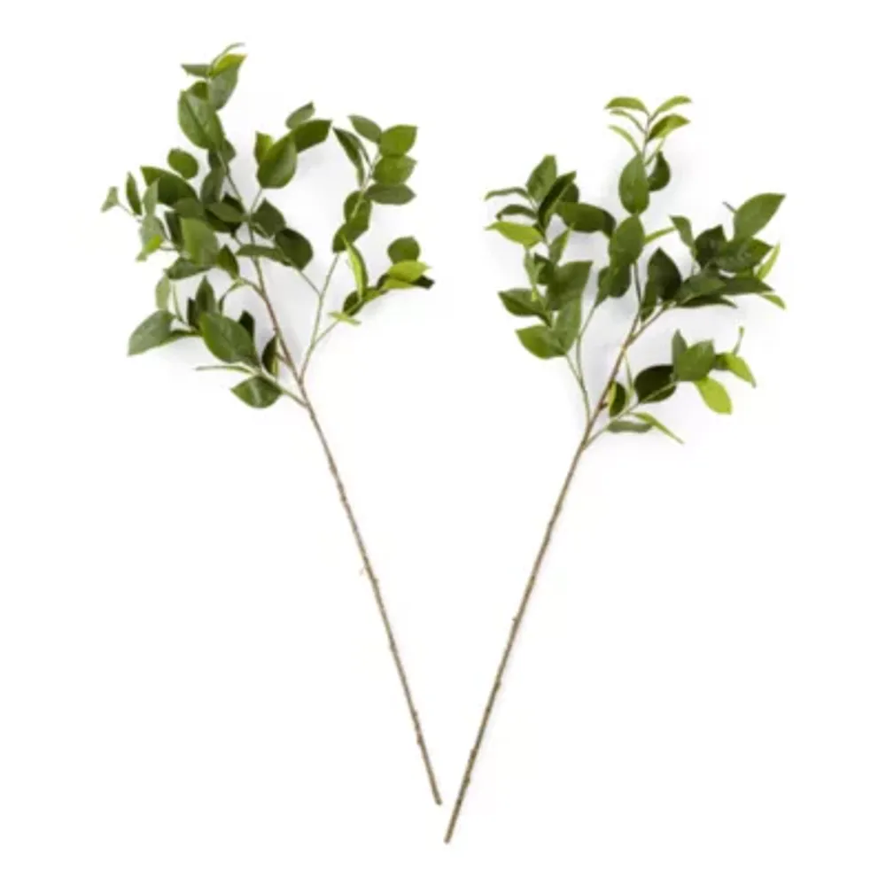 Linden Street 40" Lemmon Leaf 2-pc. Vase Filler