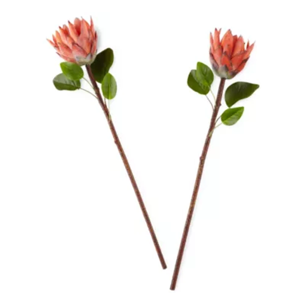 Distant Lands 26" Red Protea 2-pc. Vase Filler