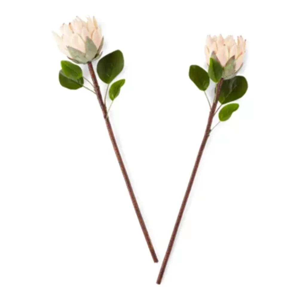 Distant Lands 26" Pink Protea 2-pc. Vase Filler
