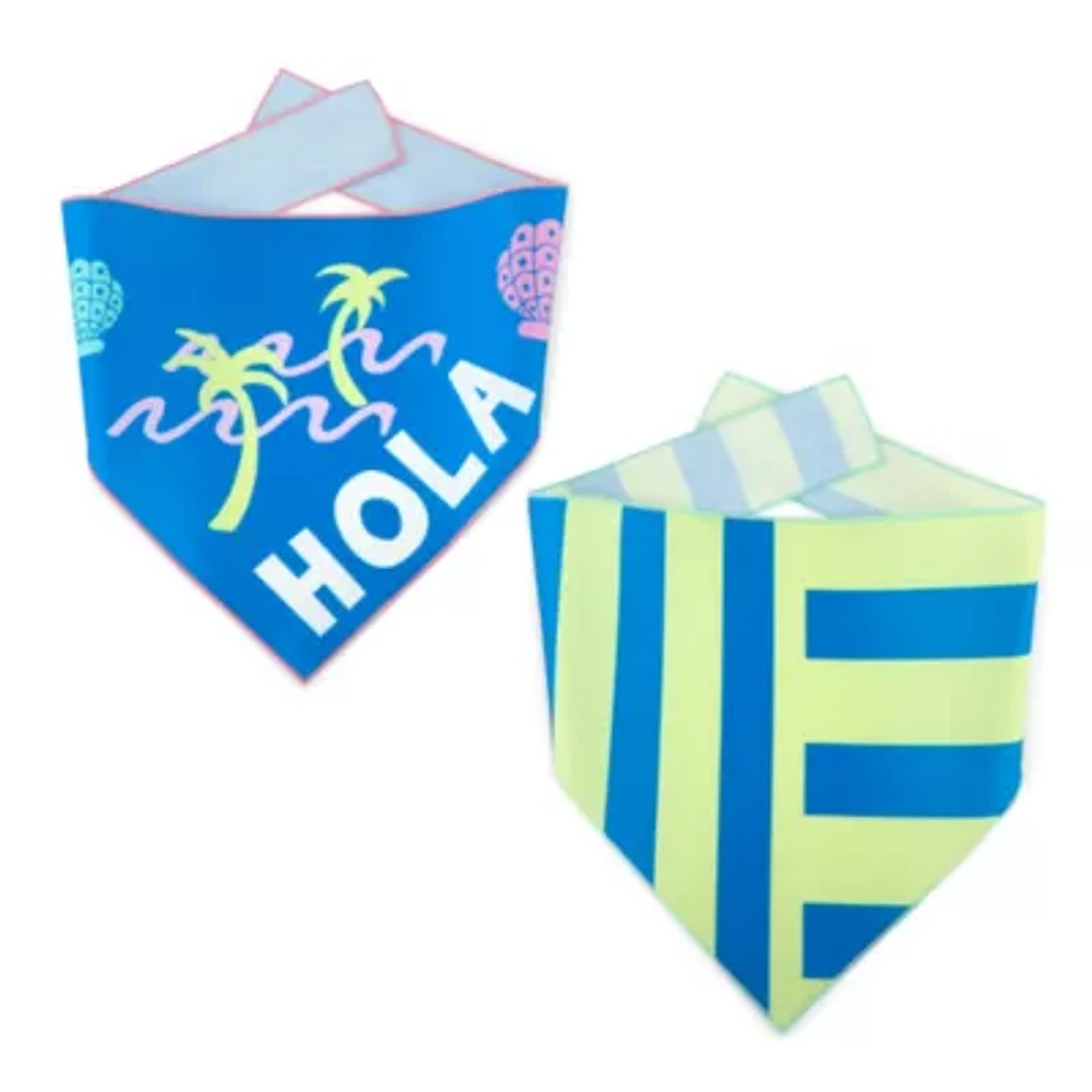 Paw & Tail 2-Pack Hola Dog Bandana